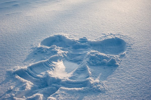 Следы на снегу