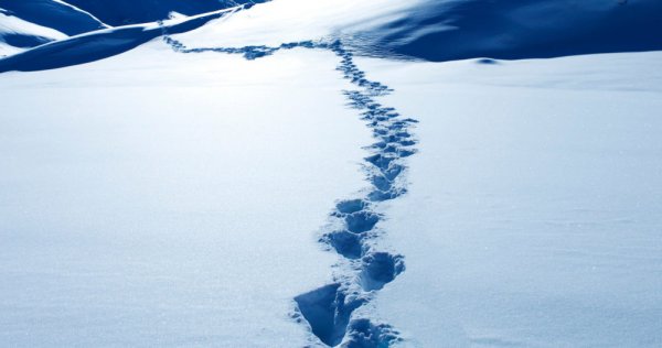 Следы на снегу