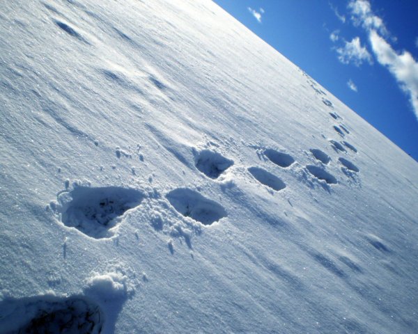 Следы человека на снегу