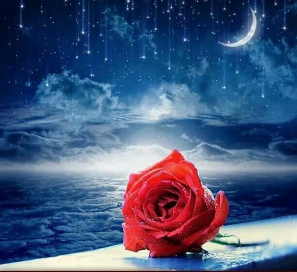 Луна и роза