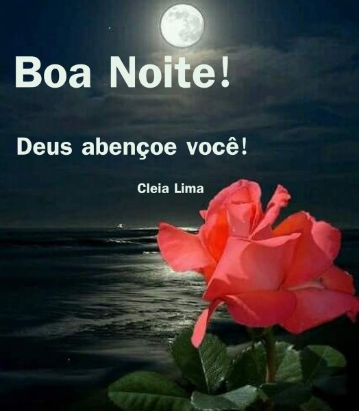 Роза на фоне ночного моря