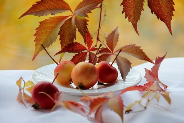 Осень осеннее настроение