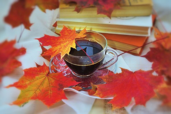 Доброе утро осень магия