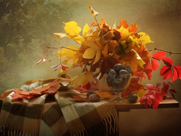 Светлана Ковалева натюрморт осенний