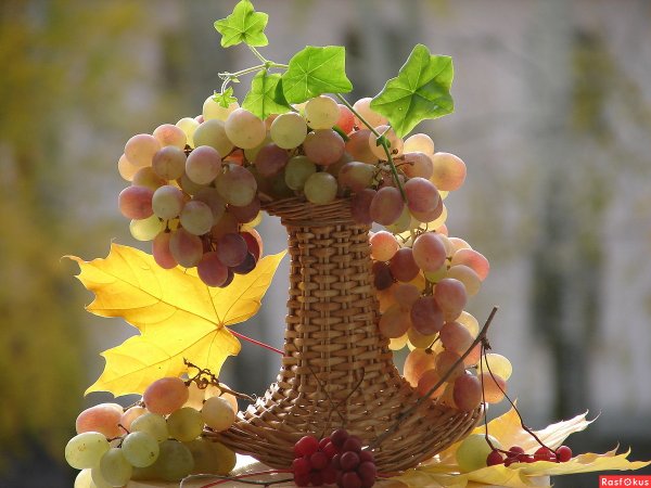 Хорошей осени