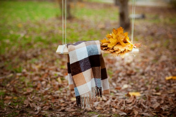 Осенний плед