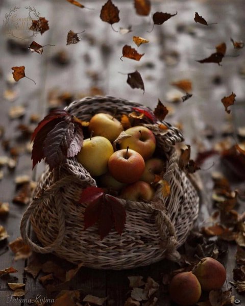 Осеннее настроение