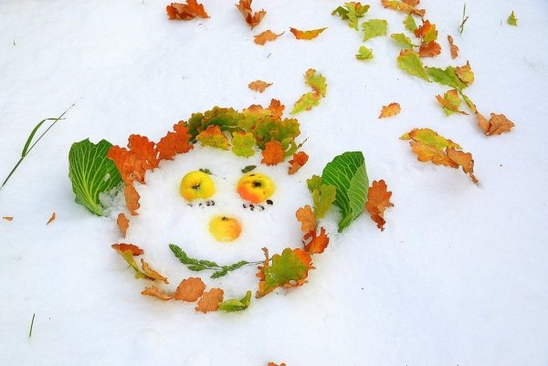 С добрым утром осень снег