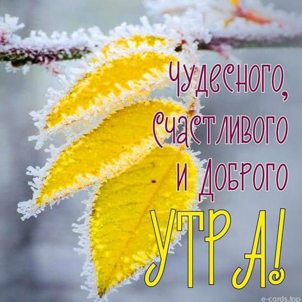 Картинки с добрым утром осень снег