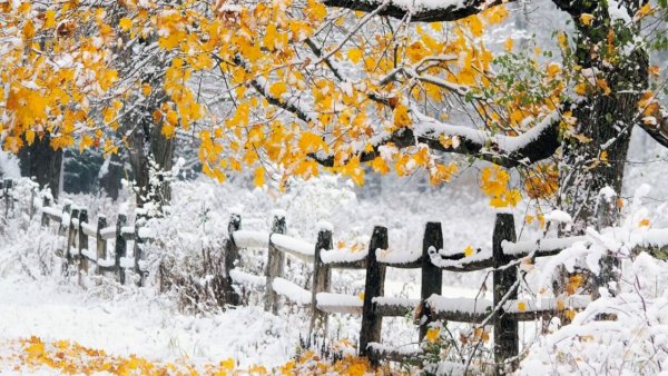 Первый снег предзимье