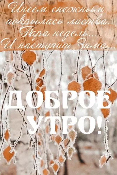С добрым снежным осенним утром