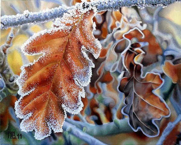 Утренние заморозки осенью