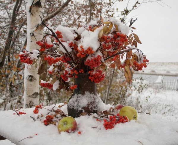 Осенне-зимние натюрморты