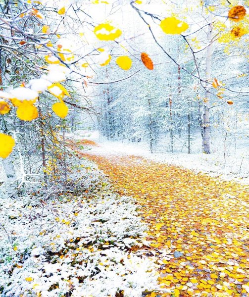 Встреча осени с зимой