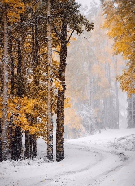 Осенне зимний пейзаж