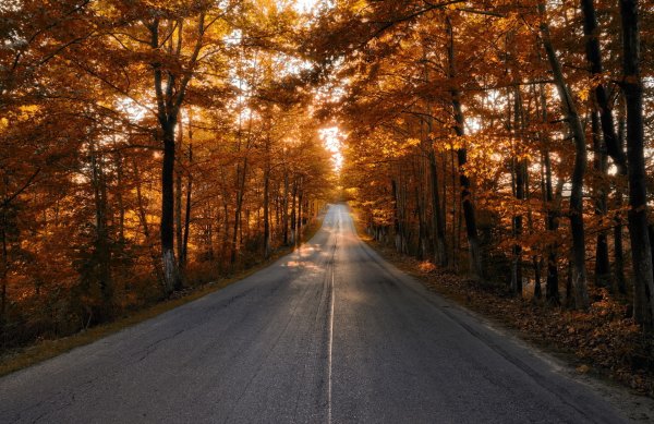 Дорога в осень