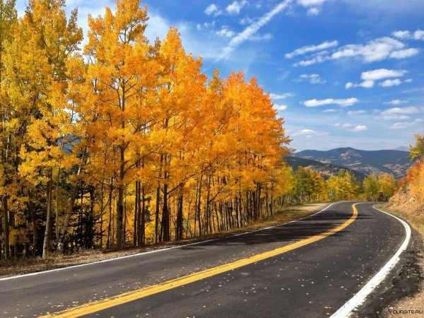 Осенняя дорога