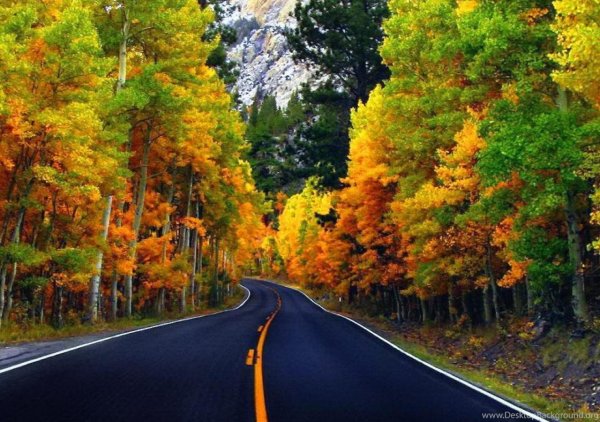 Дорога в осень