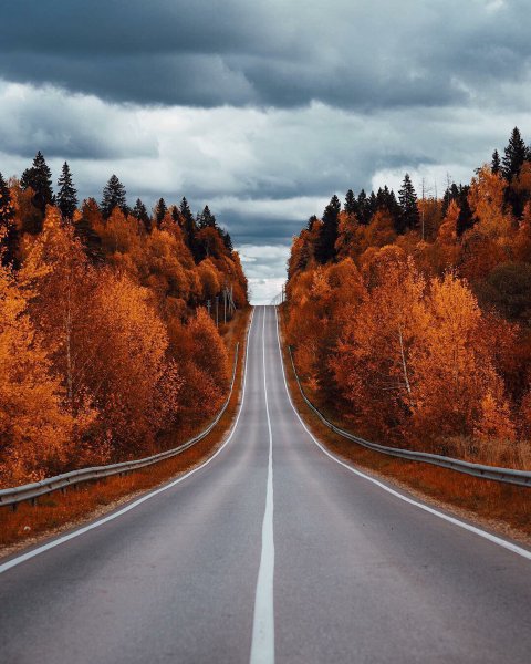 Осенняя дорога