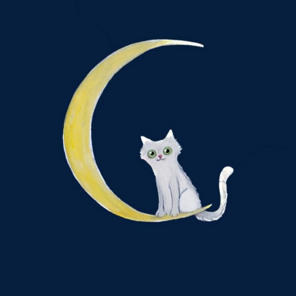 Котик на Луне