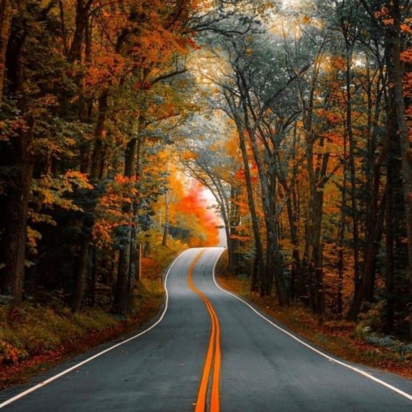 Пейзаж с дорогой