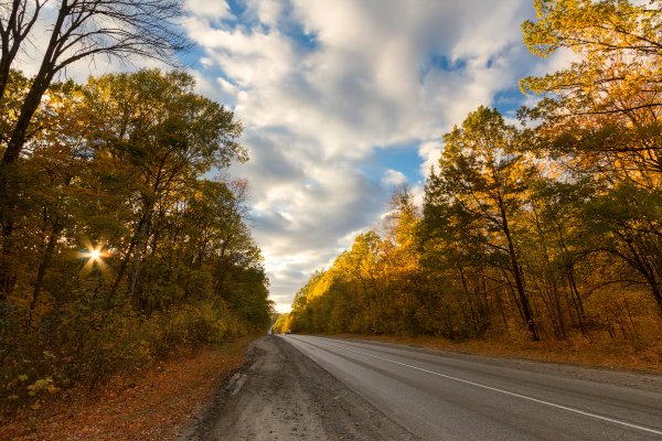 Дорога в осень