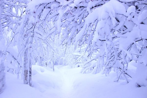 Белоснежный снег