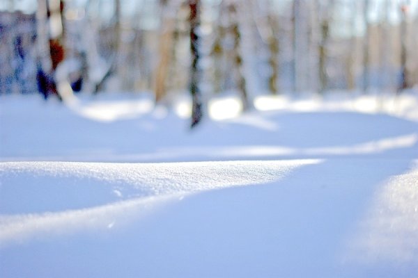 Снежная белизна