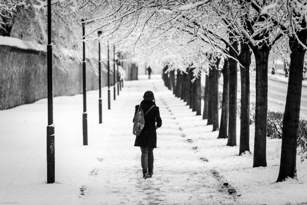 Одинокий человек зимой