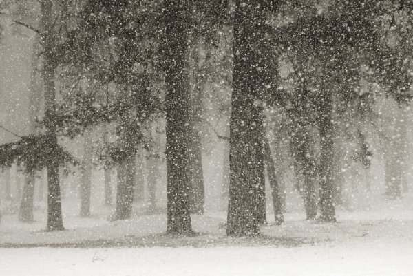 Тихий снегопад