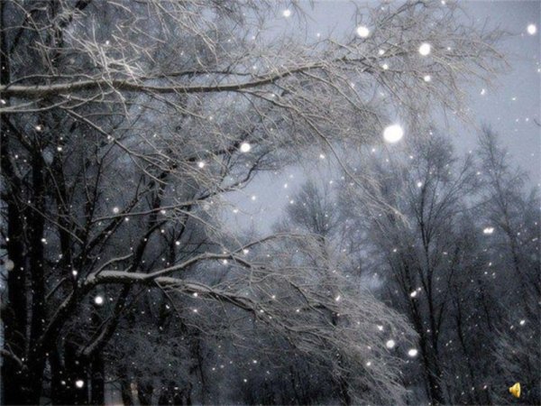 Снег кружится вечером