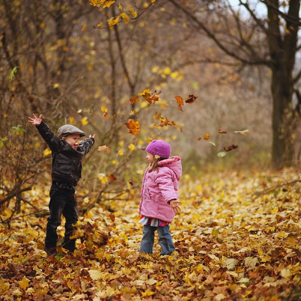 Осенняя прогулка