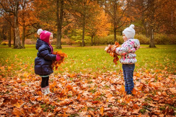 Дети на прогулке осенью