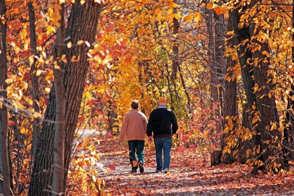 Осенняя прогулка фото