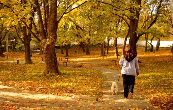 Осенний город