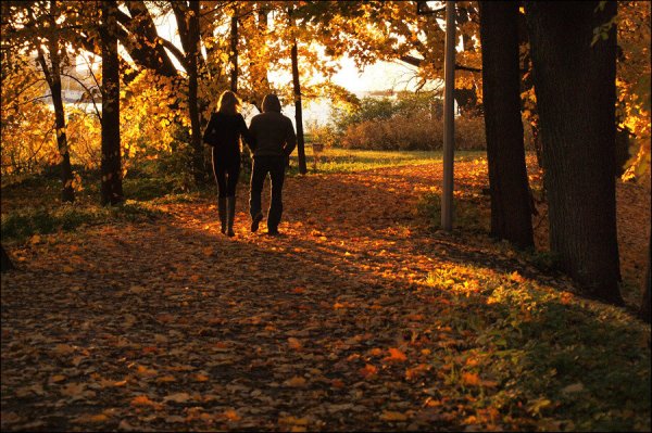 Осенняя прогулка