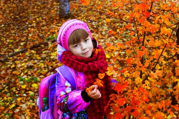 Фотоконкурс осенняя прогулка