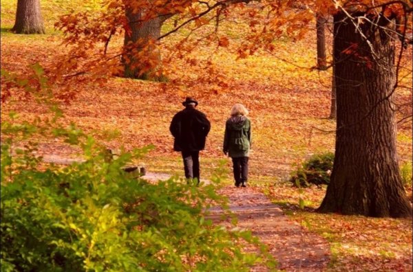 Двое в осеннем лесу