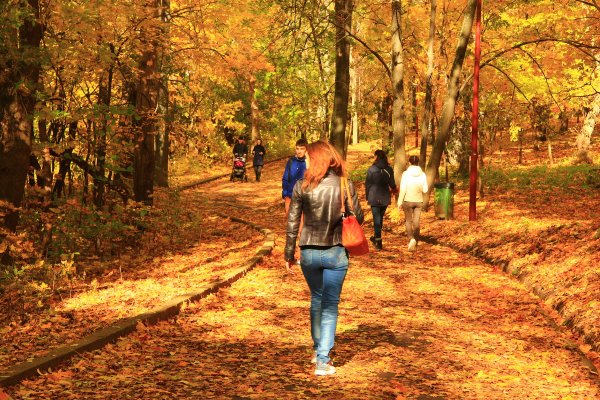 Осенняя прогулка