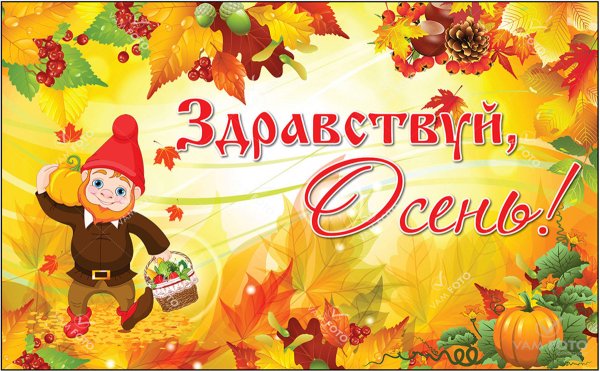 Баннер осень для детского сада