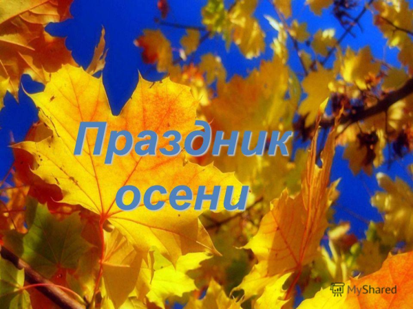Здравствуй осень Золотая