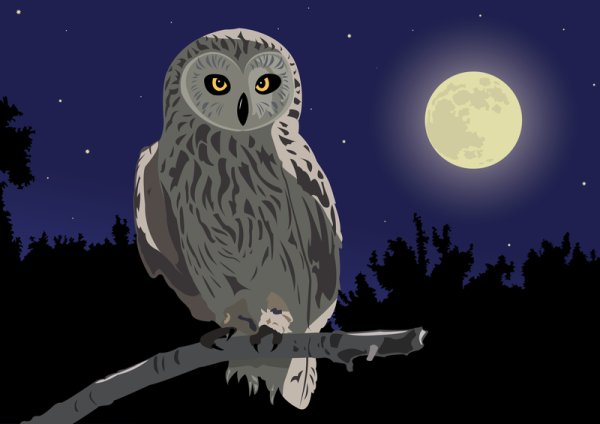 Сова на фоне Луны рисунок