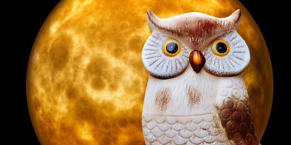 Филин лунный
