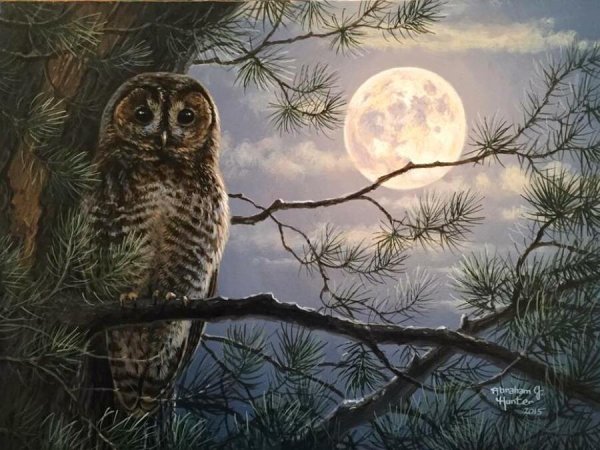 Художник Abraham Hunter. Ночь