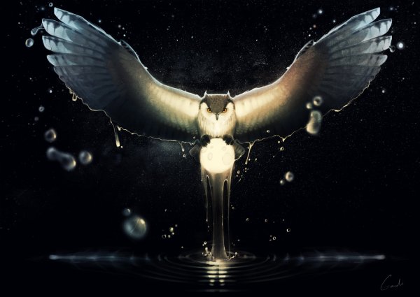 Птицы в полёте - фэнтези