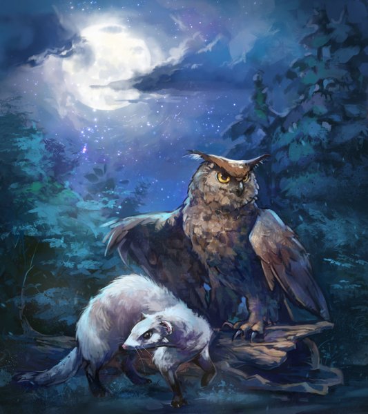 Сова арт