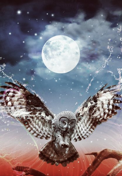 Лунная Сова