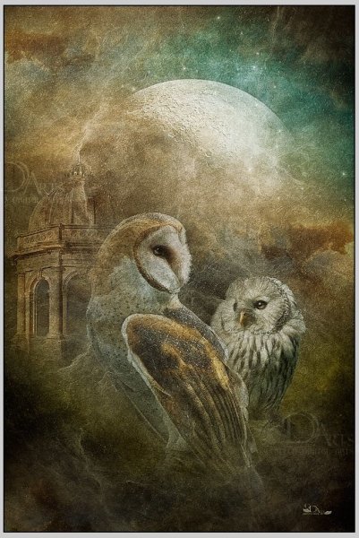 Сова в мифологии