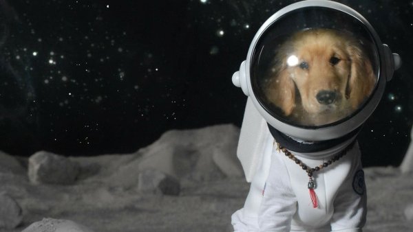 Космические друзья фильм 2009