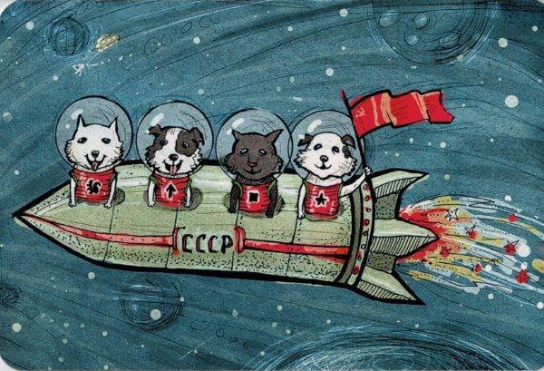 Животные в космосе